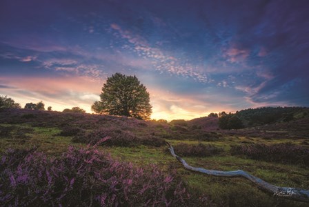 Blue Hour by Martin Podt art print