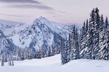 Tatoosh Range by Alan Majchrowicz art print