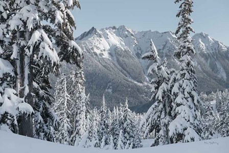 Nooksack Ridge in Winter by Alan Majchrowicz art print