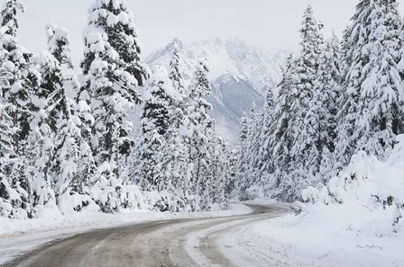 Mount Baker Highway I by Alan Majchrowicz art print