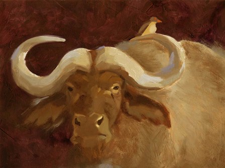 Cape Buffalo II by Jacob Green art print