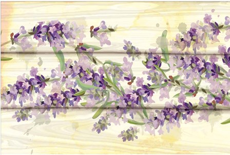 Floral Lavender III by ND Art &amp; Design art print