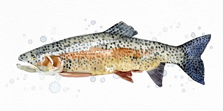 Watercolor Rainbow Trout II by Emma Caroline art print