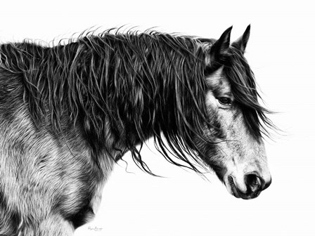 Black and White Horse Portrait III by PHBurchett art print