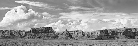 Valley Of The Gods, Utah (BW) by Frank Krahmer art print