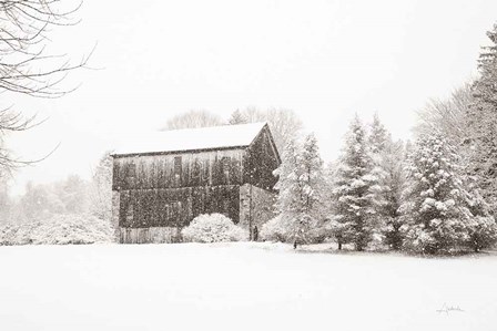 First Snow BW Crop by Aledanda art print