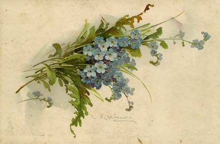 Forget-Me-Not by Art Licensing Studio art print