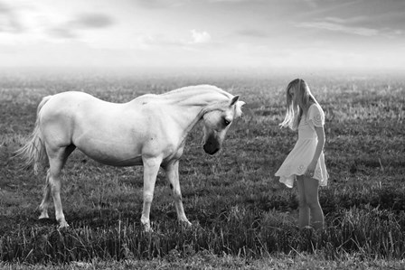Her White Horse by Ata Alishahi art print