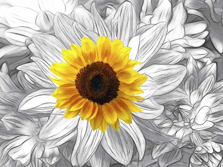 Stars 3 by Ata Alishahi art print