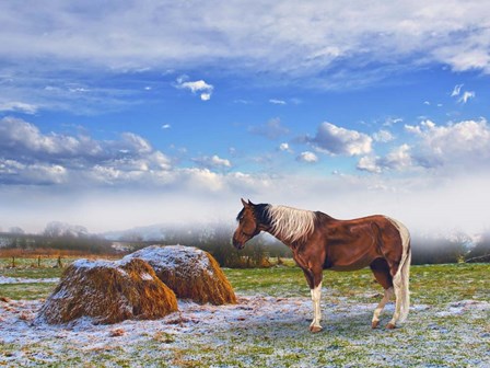 Winter On The Way by Ata Alishahi art print