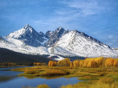 Winterfall by Ata Alishahi art print