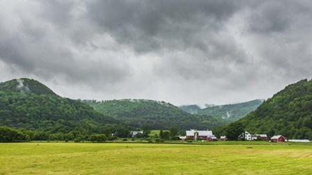 Local Farm by Brenda Petrella Photography LLC art print
