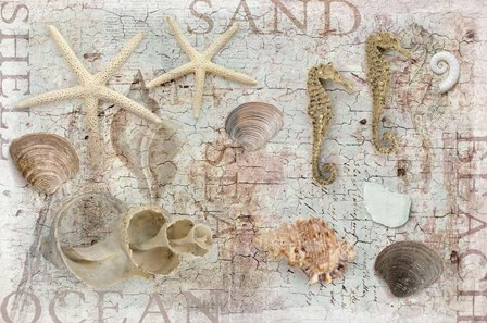 Beach Finds by Cora Niele art print