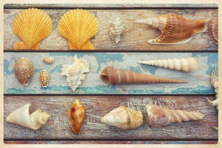 Beach Memories II by Cora Niele art print