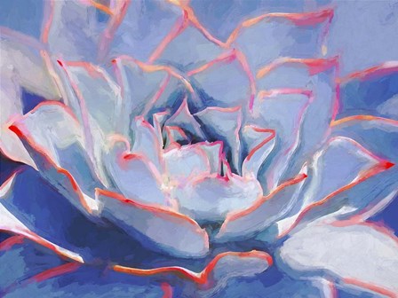 Succulent Beauty III by Cora Niele art print