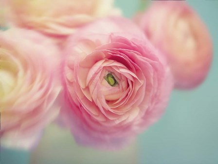 Sweet Buttercups by Cora Niele art print