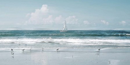 Shore Birds and a Sailboat by David Manlove art print