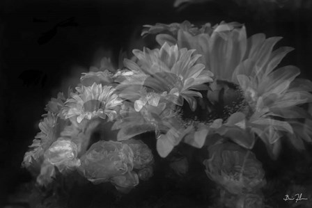 Pedals Of White by 5fishcreative art print