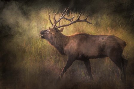 Sound of The Season by Jai Johnson art print