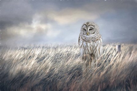 Field Seeker by Jai Johnson art print