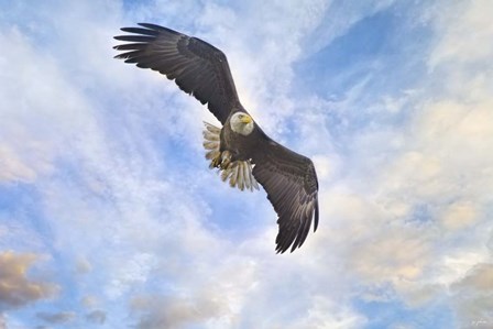 No Place Like Home by Jai Johnson art print