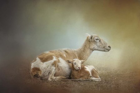 Peaceful Mothers Love by Jai Johnson art print