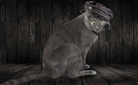 Barn Cat by Lori Hutchison art print