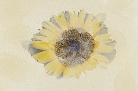 Sunflower 3 by Lori Hutchison art print