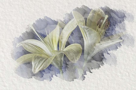 Yellow Lily 2 by Lori Hutchison art print