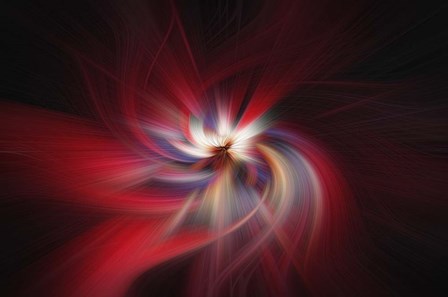 Explosion by Lori Hutchison art print