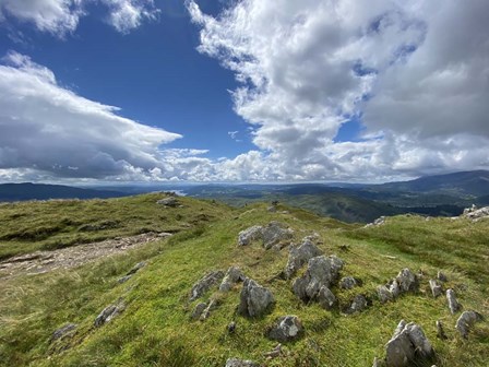 Highland Path Landscape by Noah Bay art print