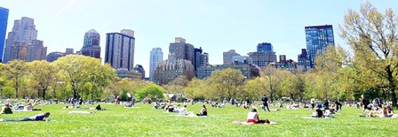 Central Park Picnic by Acosta art print