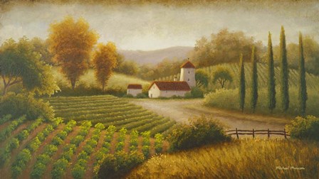 Vineyard In The Sun II by Michael Marcon art print