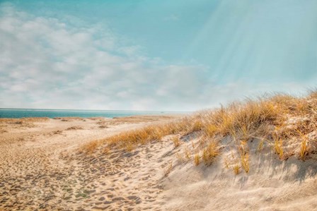 Chatham Lighthouse Beach by Brooke T. Ryan art print