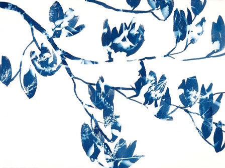 Magnolia by Cynthia MacCollum art print