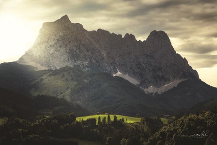 In the Spotlight II by Martin Podt art print