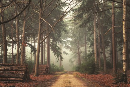 Harvesting Time by Martin Podt art print