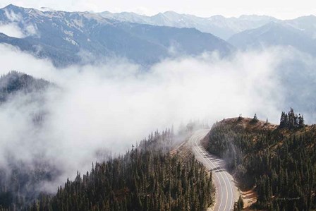 Hurricane Ridge III by Laura Marshall art print