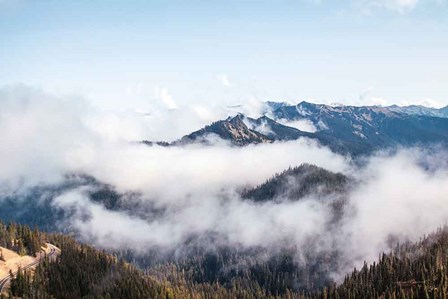 Hurricane Ridge II by Laura Marshall art print