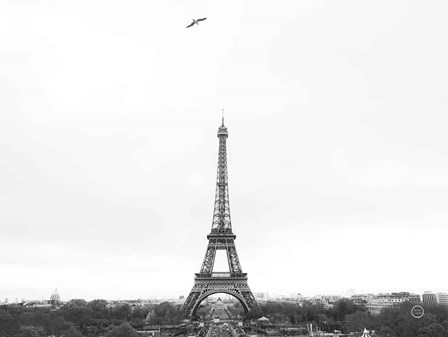 A Birds View of Paris by Nathan Larson art print