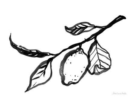 Ink Lemon by Sara Zieve Miller art print