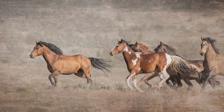 Wild Bachelors by Larry McFerrin art print