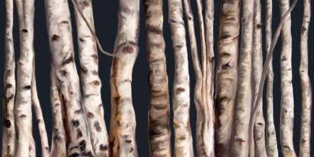 Birch Grove III by Ramona Murdock art print