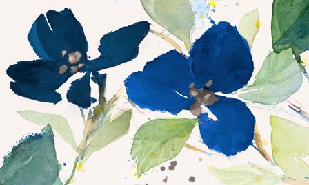 Blue Watercolor Flowers II by Lanie Loreth art print