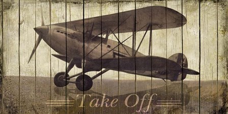 Take Off by Merri Pattinian art print