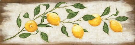 Lemon Branch by Hollihocks Art art print