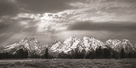 Sunlight on the Tetons by Lori Deiter art print