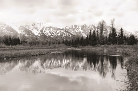 Tetons at Schwabachers Landing by Lori Deiter art print