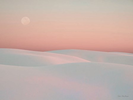 Moon and Dunes by Seven Trees Design art print