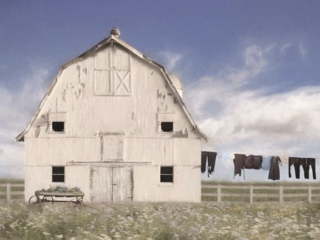 Amish Laundry by Lori Deiter art print